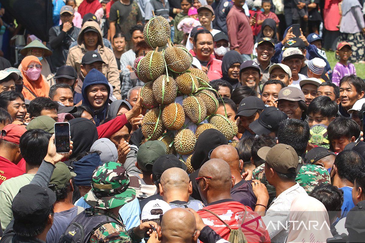 Pengamat sebut festival durian tingkatkan daya tarik pariwisata daerah